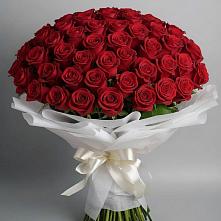 Букет 101 Красная роза Блэк Мэджик в Засосне