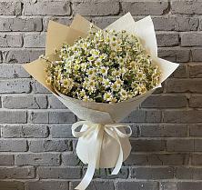 Букет цветов из:  Ромашки в Засосне