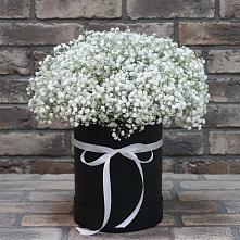 Цветочная композиция из Гипсофила в шляпной коробке в Засосне