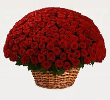 Премиум букет из: Розы в Засосне